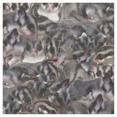 Suikerglidercollage. Stof (Close Up)