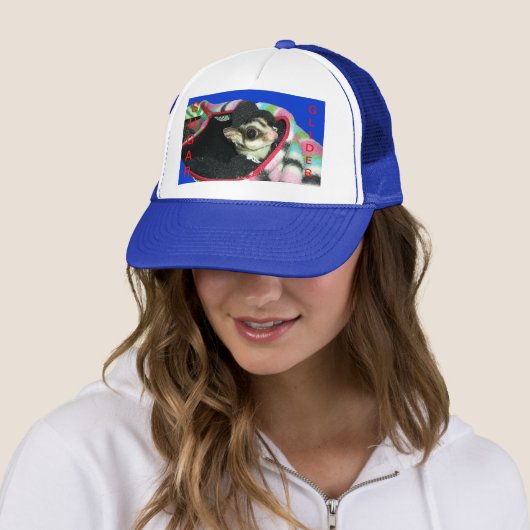 Suikerglijder die een Pet draagt (In situ)