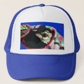 Suikerglijder die een Pet draagt (Voorkant)