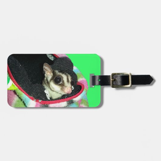 Suikerglijder die een Pet draagt Bagagelabel (Voorkant horizontaal)
