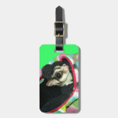 Suikerglijder die een Pet draagt Bagagelabel (Voorkant verticaal)