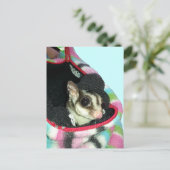 Suikerglijder die een Pet draagt Briefkaart (Staand voorkant)