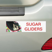 Suikerglijder die een Pet draagt Bumpersticker (Op auto)