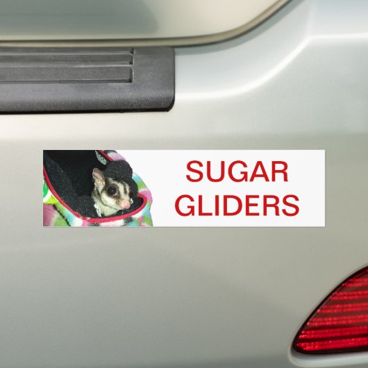Suikerglijder die een Pet draagt Bumpersticker (Op auto)