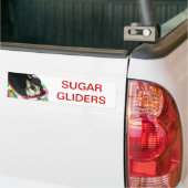 Suikerglijder die een Pet draagt Bumpersticker (Op Truck)