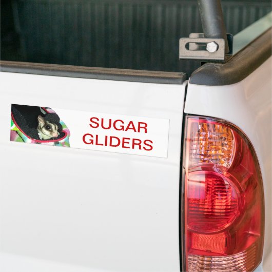 Suikerglijder die een Pet draagt Bumpersticker (Op Truck)