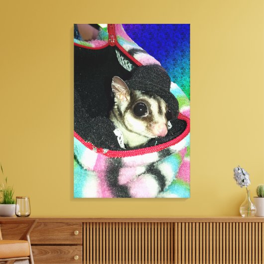 Suikerglijder die een Pet draagt Canvas Afdruk (Insitu (Woonkamer))