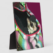 Suikerglijder die een Pet draagt Fotoplaat (Zijkant)