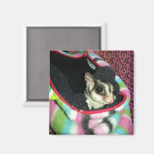 Suikerglijder die een Pet draagt Magneet (Voorkant / Achterkant)