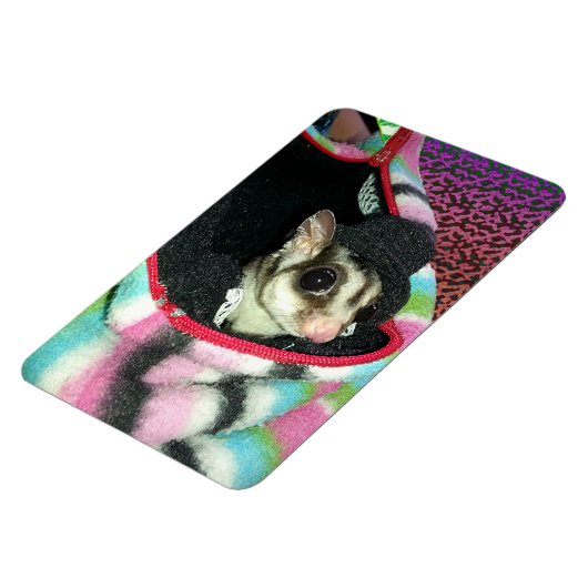 Suikerglijder die een Pet draagt Magneet (Linkerzijde)