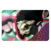 Suikerglijder die een Pet draagt Magneet (Horizontaal)