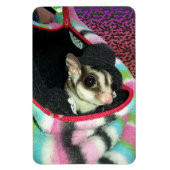 Suikerglijder die een Pet draagt Magneet (Verticaal)