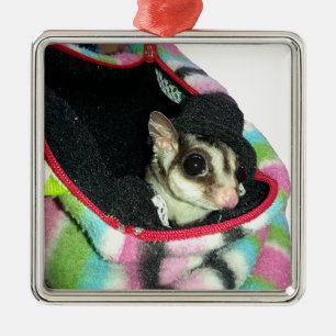 Suikerglijder die een Pet draagt Metalen Ornament