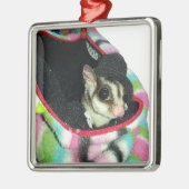 Suikerglijder die een Pet draagt Metalen Ornament (Links)