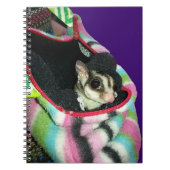 Suikerglijder die een Pet draagt Notitieboek (Voorkant)