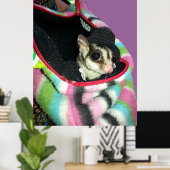 Suikerglijder die een Pet draagt Poster (Thuiskantoor)