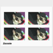 Suikerglijder die een Pet draagt Rechthoekige Sticker (Vel)