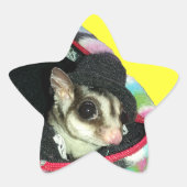 Suikerglijder die een Pet draagt Ster Sticker (Voorkant)