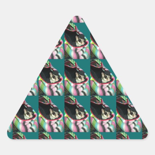 Suikerglijder die een Pet draagt Sticker (Voorkant)