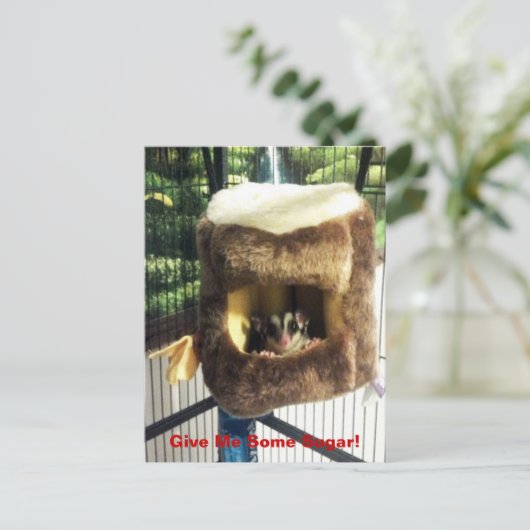 Suikerglijder in boerenveer briefkaart (Staand voorkant)