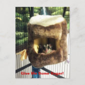 Suikerglijder in boerenveer briefkaart (Voorkant)