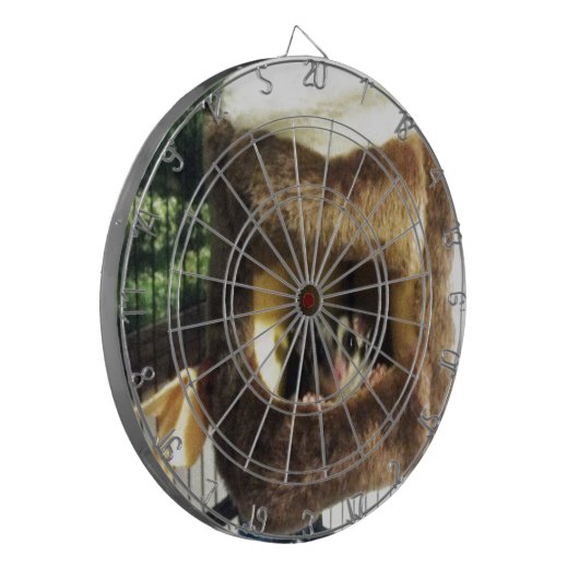 Suikerglijder in boerenveer dartbord (Voorkant Links)