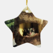 Suikerglijder in boerenveer keramisch ornament (Achterkant)