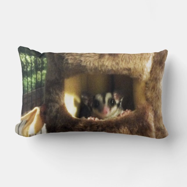 Suikerglijder in boerenveer kussen (Voorkant)