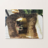 Suikerglijder in boerenveer legpuzzel (Horizontaal)