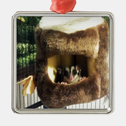 Suikerglijder in boerenveer metalen ornament (Voorkant)