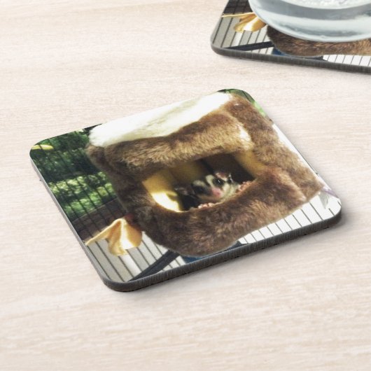 Suikerglijder in boerenveer onderzetter (Linkerzijde)