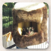 Suikerglijder in boerenveer onderzetter (Voorkant)