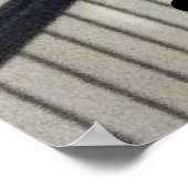 Suikerglijder in boerenveer poster (Hoek)