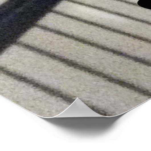 Suikerglijder in boerenveer poster (Hoek)