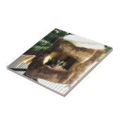 Suikerglijder in boerenveer tegeltje (Zijkant)