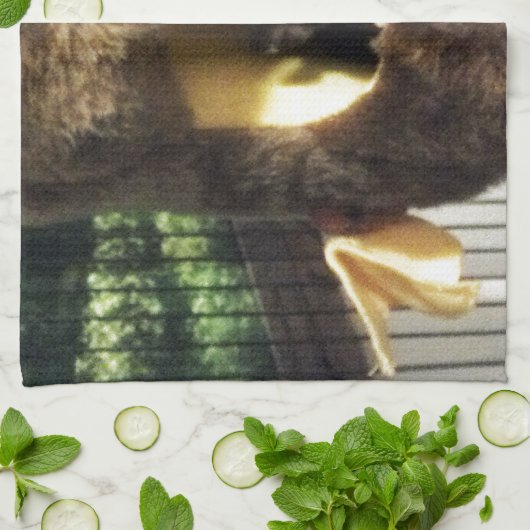 Suikerglijder in boerenveer theedoek (Gevouwen)