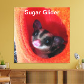 Suikerglijder in Oranje plakband Canvas Afdruk (Insitu (Woonkamer))