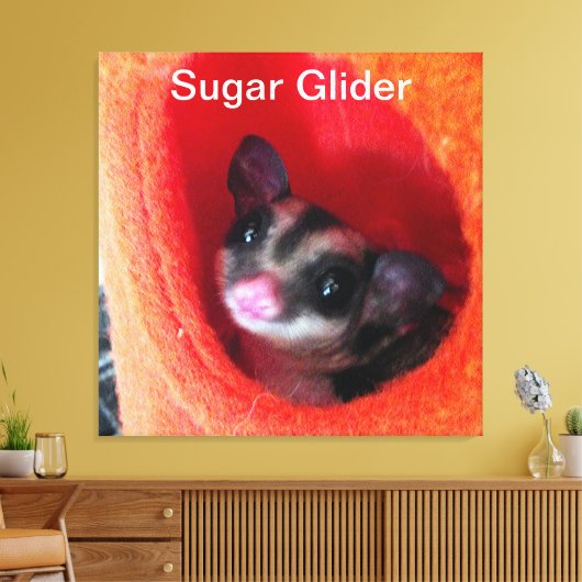 Suikerglijder in Oranje plakband Canvas Afdruk (Insitu (Woonkamer))