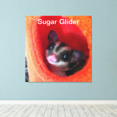 Suikerglijder in Oranje plakband Canvas Afdruk (Insitu (Houten vloer))