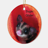 Suikerglijder in Oranje plakband Keramisch Ornament (Links)