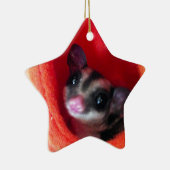 Suikerglijder in Oranje plakband Keramisch Ornament (Rechts)