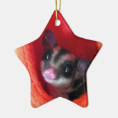 Suikerglijder in Oranje plakband Keramisch Ornament (Links)