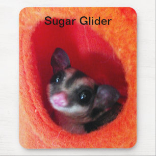 Suikerglijder in Oranje plakband Muismat