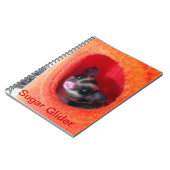 Suikerglijder in Oranje plakband Notitieboek (Linkerzijde)