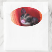 Suikerglijder in Oranje plakband Ovale Sticker (Tas)