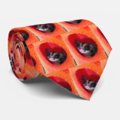 Suikerglijder in Oranje plakband Stropdas (Opgerold)