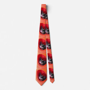 Suikerglijder in Oranje plakband Stropdas