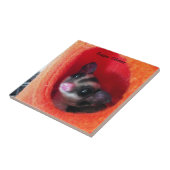 Suikerglijder in Oranje plakband Tegeltje (Zijkant)