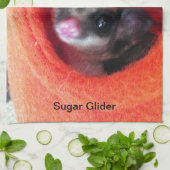 Suikerglijder in Oranje plakband Theedoek (Gevouwen)