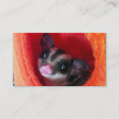 Suikerglijder in Oranje plakband Visitekaartje (Voorkant)